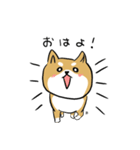 バカでカワイイ柴犬（個別スタンプ：2）