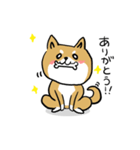 バカでカワイイ柴犬（個別スタンプ：4）