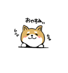 バカでカワイイ柴犬（個別スタンプ：5）