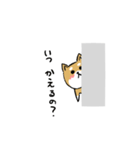 バカでカワイイ柴犬（個別スタンプ：7）