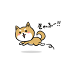 バカでカワイイ柴犬（個別スタンプ：8）