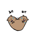 のんびりくまごろう（個別スタンプ：16）