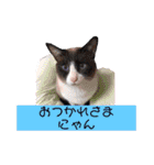 かなたのスタンプ日常編（個別スタンプ：16）