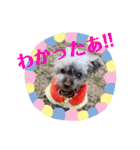 かなたのスタンプ日常編（個別スタンプ：21）