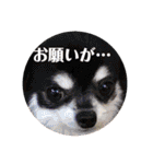 かなたのスタンプ日常編（個別スタンプ：40）
