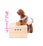 我が家のお姫様♡Cocoa♡（個別スタンプ：6）