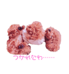 我が家のお姫様♡Cocoa♡（個別スタンプ：11）