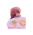 我が家のお姫様♡Cocoa♡（個別スタンプ：14）