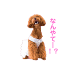 我が家のお姫様♡Cocoa♡（個別スタンプ：15）