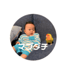 コザクラインコPちゃんスタンプ（個別スタンプ：3）