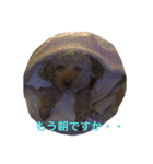 ちょことぷに（個別スタンプ：3）
