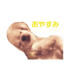 ちょことぷに（個別スタンプ：15）