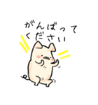 ぶたのこちゃん5〜敬語（個別スタンプ：8）