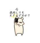 ぶたのこちゃん5〜敬語（個別スタンプ：15）