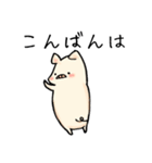 ぶたのこちゃん5〜敬語（個別スタンプ：18）