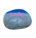 まったーりした海洋生物系スタンプです（個別スタンプ：1）