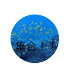 まったーりした海洋生物系スタンプです（個別スタンプ：3）