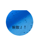 まったーりした海洋生物系スタンプです（個別スタンプ：4）