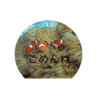 まったーりした海洋生物系スタンプです（個別スタンプ：5）