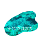まったーりした海洋生物系スタンプです（個別スタンプ：8）
