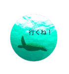 まったーりした海洋生物系スタンプです（個別スタンプ：9）