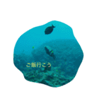 まったーりした海洋生物系スタンプです（個別スタンプ：10）