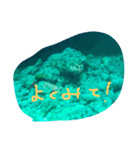 まったーりした海洋生物系スタンプです（個別スタンプ：13）