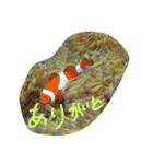 まったーりした海洋生物系スタンプです（個別スタンプ：16）