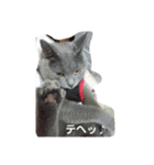 シャル晴明とカール千早vol,2（個別スタンプ：13）
