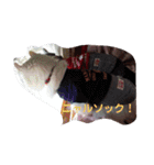 シャル晴明とカール千早vol,2（個別スタンプ：16）