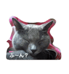 シャル晴明とカール千早vol,2（個別スタンプ：21）