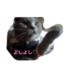 シャル晴明とカール千早vol,2（個別スタンプ：33）