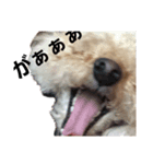 @hima（個別スタンプ：2）