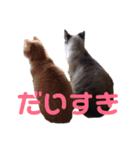 橋本家のネコ三兄弟（個別スタンプ：3）