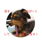 チワックスのミートくん！①（個別スタンプ：14）