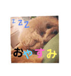 きいちゃんの毎日（個別スタンプ：3）