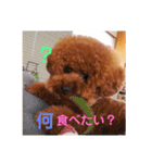 きいちゃんの毎日（個別スタンプ：6）
