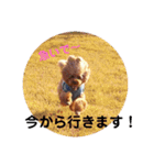 きいちゃんの毎日（個別スタンプ：7）