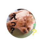 きいちゃんの毎日（個別スタンプ：9）