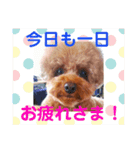きいちゃんの毎日（個別スタンプ：11）