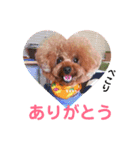 きいちゃんの毎日（個別スタンプ：15）