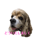 アメコカFuuta②（個別スタンプ：1）