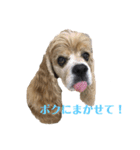 アメコカFuuta②（個別スタンプ：2）