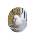 チロの感情（個別スタンプ：7）