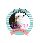 チロの感情（個別スタンプ：14）