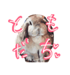 すっすー♪スタンプ（個別スタンプ：8）