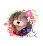 YPNEL第二弾（個別スタンプ：2）