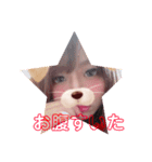 YPNEL第二弾（個別スタンプ：3）