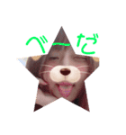 YPNEL第二弾（個別スタンプ：6）