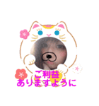 YPNEL第二弾（個別スタンプ：9）